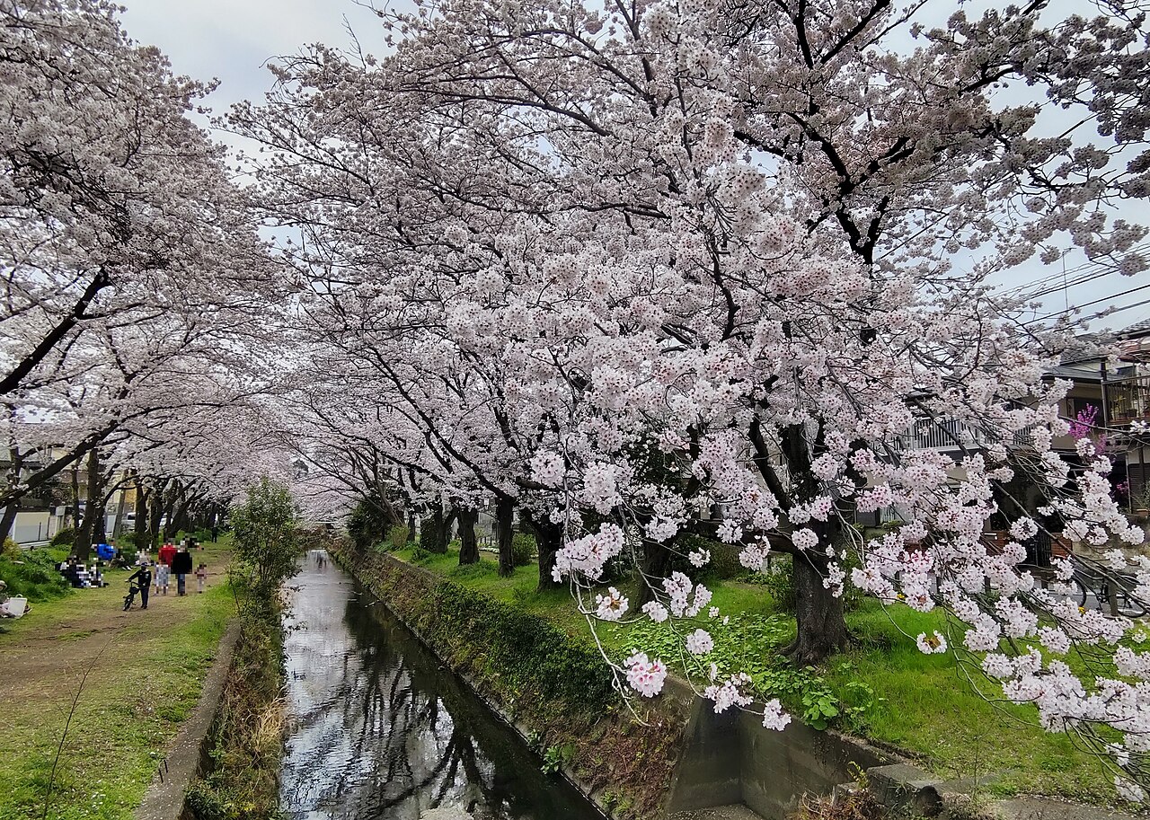 大和市の斎場